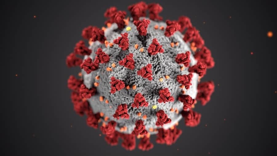 photo of virus from CDC